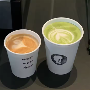 Paper Cup India to Qatar Supplier 